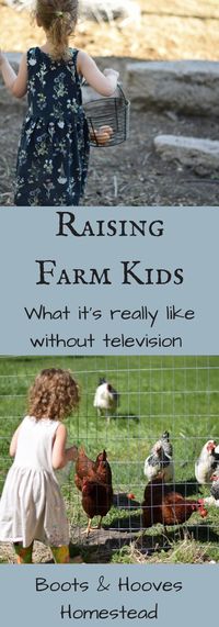 Raising Farm Kids: What it's Really Like Without TV Last summer, I shared a major change in our household. We got rid of our TV and it has been