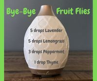 Bye-Bye Fruit Flies!