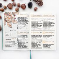 12 Bullet Journal Layouts to Help Organize Your Year – Goulet Pens Blog