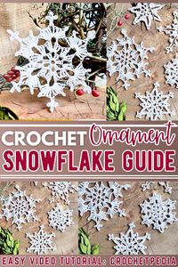 28 Free Crochet Snowflake Patterns For Beginners - DIYsCraftsy