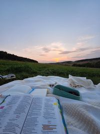 #bible #study #biblestudy #sunset #fieldofflowers #aesthetic