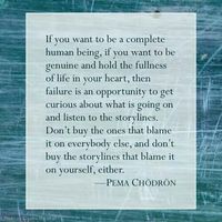 If you want to be a complete human being if you want to be genuine and hold the oldest of life in your heart then failure is an opportunity to get curious about what is going on and listen to the storylines . Don't buy the ones that blame it on everyone else and don't buy the storylines that blame it on yourself either.