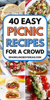 40 Easy Summer Picnic Recipes ; Opens a new tab Make your next picnic unforgettable with our easy picnic recipes! From healthy picnic food ideas to mouth-watering picnic sandwiches, picnic salads like pasta salad recipes, and fruit salads to grilled vegetable salad recipes. For the grill masters, we have BBQ recipes like grilled burger recipes that are perfect for picnics. Don't forget to try our picnic snacks like