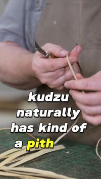 Preparing to Weave a Kudzu Basket #kudzu #basketweaving #basketry