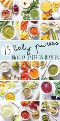 15 Baby Purees Made in Under 15 minutes