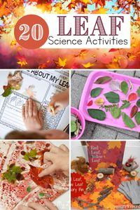 As leaves begin to change colors in autumn, it's a great time to explore with these engaging leaf science activities for preschoolers.