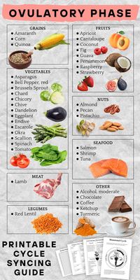 This guide includes a period tracker, a planner, journal prompts, and a lot of cycle syncing tips to help you to adapt your diet, workout routines, productivity and social calendar to enjoy all the benefits of cycle syncing. Learn about your cycle and its phases (menstrual phase, follicular phase, ovulatory phase, luteal phase). Cycle Syncing Planner, Cycle Syncing Journal, Period Tracker, bujo ideas, schedule
