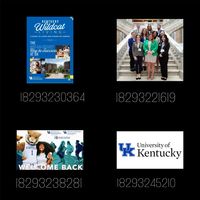 kentucky univeristy decals roblox