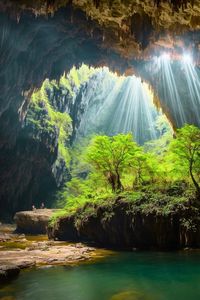 Dive into the wonders of Phong Nha-Ke Bang National Park, a treasure trove of colossal caves and ancient jungles. Explore Son Doong's hidden ecosystem or kayak through the Dark Cave.  Pro tip: Book early for limited-access caves!  #PhongNhaKeBang #SonDoongCave #AdventureTravel #VietnamExploration