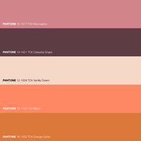 Pantone Orange Brown Mauve Color Palette · Melon Ochre: a guide to warm & saturated Spring Color Palette with Earthy tones. · Creative Color Scheme · #Beige #Brown #Color #ColorPalette #FHICottonTCX #Mauve #Orange #Pantone #PANTONE12-1009TCXVanillaCream #PANTONE16-1253TCXOrangeOchre #PANTONE16-1442TCXMelon #PANTONE16-1617TCXMauveglow #PANTONE19-1621TCXCatawbaGrape #Spring · #PantoneColors #Design #ColorGuide · @pantonecolor · Kid’s Pattern