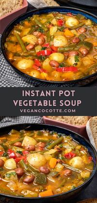 Instant Pot Vegetable Soup with Beans