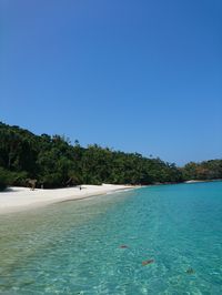 Praia do dentista - Angra dos Reis RJ