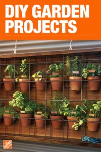 The Home Depot has everything you need for your home improvement projects. Click through to learn more about garden plants and more.