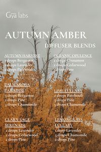 Embrace the cozy vibes of fall with our Autumn Amber diffuser blend - a warm and inviting scent to enhance your autumnal ambiance. . Shop now: https://amzn.to/3UYnyIM . #GyaLabs #UpliftYourEveryday #essentialoils #spring #april #springseason #aries #amazing #soulwisdom #aprilvibes #spring #springvibes #abundance #abundancemindset #miracles #blessings #prosperity #888 #angelnumbers #inspo #reels #reelsinstagram #grwm #inspiration #NaturalCare #HealthyLiving #EssentialOils #woman #skincareroutine