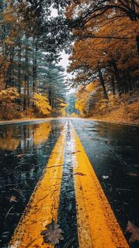 Fall Rain Wallpaper Iphone. There are any references about Fall Rain Wallpaper Iphone in here. you can look below. I hope this article about Fall Rain Wallpaper Iphone can be useful for you. Please remember that this article is for reference purposes only. #fall #rain #wallpaper #iphone