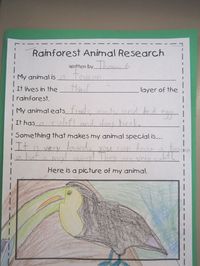 Rainforest Research | First Grade Roars!