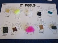 Some of This Some of That: It Feels... (good format for infant/toddler sensory and language activity)