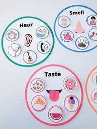 Toddler Five Senses Activities Sorting Learning Matching - Etsy South Africa