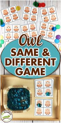 This Owl Same and Different Game from PreKinders helps kids practice visual discrimination skills in preschool, pre-k, and kindergarten. Children need visual discrimination skills to help them identify letters and numbers, as well as distinguish the difference between similar letter shapes such as p, q, b, d. Use this cute and fun game with your students!