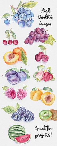 "This watercolor fruit clipart set is perfect for stickers, collages, scrapbooking, cardmaking, and other artsy projects! ★ What you will receive ★ * 12 individual fruit images (transparent backgrounds) * Printable images of watermelons, grapes, cherries, kiwis and other fruits * High-resolution image files (300 dpi) Important notes: ★ These are DIGITAL DOWNLOAD items that you can view and print at home or places like Staples, Office Depot, Fedex, UPS Store, Costco, Walgreens, Walmart, etc (If y