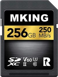 Two hundred fifty-six gigabytes worth of memory at 250 MB/s read speed to store your files for your camera, computer, or a myriad of other devices. Find it for sale by following the link.