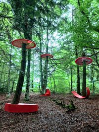 Catherine Baas artiste environnementale Oeuvre Canopée pour Horizons Puit De Sancy. Le public est connecté à la forêt. 2022 #artarchitecture #artenvironnemental #artinsitu #artetbotanique #artinstallation #artcontemporainfrançais #artetnature #artetpaysage #aliceinwonderland #landart #artisteinsitu #installationinsitu #artisteenvironnemental #horizonsancy #canopée #francishallé #catherinebaas #artetforêt