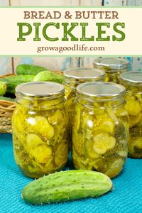 These sweet and tangy cucumber bread and butter pickles are perfect for burgers, sandwiches, or snacked right out of the jar. Learn how to turn your cucumber harvest into bread and butter pickles with this canning recipe. 