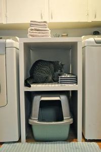 Laundry room space saving idea - cat litter box in between the washer and dryer. great use of a small space!