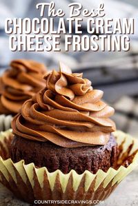 This Chocolate Cream Cheese Frosting is made with cocoa powder and 4 other simple ingredients! It’s smooth, creamy, and full of chocolate flavor!