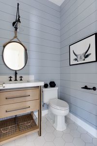 Painted Shiplap Accent Walls in Rich Colors