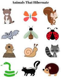 Animals That Hibernate