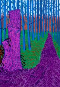 Image result for david hockney art lesson plan