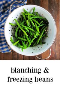 Blanching & Freezing Beans - everything you need to know to make this simple process a success! 

Did you know a quick blanch when you get home makes beans last longer in the fridge even if you aren't freezing? 

#BlanchingGreenBeans #FreezingBeans #FreezingGreenBeans #Preserving via @frugalhausfrau