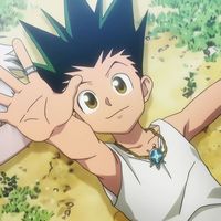 ᶫ➤ 𝗔𝗻𝗶𝗺𝗲: Hunter x Hunter | Gon Freecss Icon ⛧.