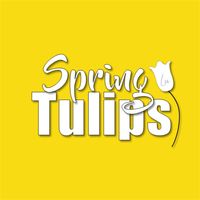 yellow tulips