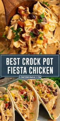 Indulge in tender chicken breasts infused with zesty ranch and taco seasonings, combined with black beans, corn, diced tomatoes, and green chilies in this flavorful Crock Pot Fiesta Chicken. Let your slow cooker do the work while you set it and forget it. Serve with rice or tortillas for an easy and loved dinner recipe!