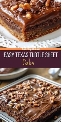 Easy Texas Turtle Sheet Cake