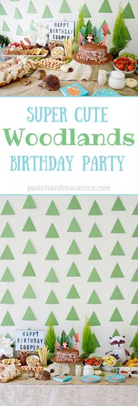 This beautiful and unique Woodlands Birthday Party for a one year old was a total hit! Most of the items in the party are handmade, and a lot of cute crafts and DIY projects went into bringing this fun and whimsical party to life.