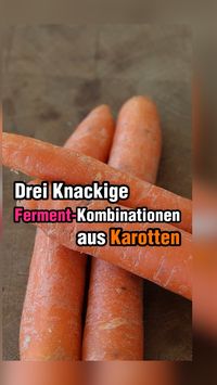 Auf der Suche nach neuen Aromen? Entdecke drei köstliche und kreative Rezepte für fermentierte Karotten. Ob als Mix mit Sellerie und Zwiebeln, als würziger Mix mit Kohlrabi und Senfsamen oder als scharfe Mischung mit Rettich und Chilis - diese Rezepte bringen Vielfalt auf deinen Teller und sind der perfekte Snack für die warmen Tage. Plus: Fermentiertes Gemüse ist nicht nur lecker, sondern auch gut für deine Darmgesundheit! Schau unbedingt den Blogartikel dazu an!