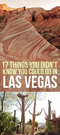 Near University of Nevada - Las Vegas: 17 Things You Didn't Know You Could Do In Las Vegas