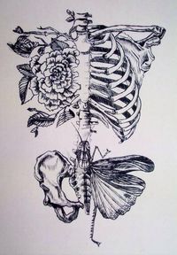 Beautiful bones and flower drawing.