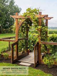 Erin from Hamilton Park Home built this gorgeous raised garden bed fence enclosure with the Remodelaholic arched garden arbor trellis for grapes as the entrance gate! Get the garden arbor trellis plans and get more details about Erin's raised bed garden. #imremodelaholic #raisedgardenbed #gardenarbor #gardentrellis