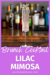 This Lilac Mimosa made with homemade lilac syrup is a great spring and summer cocktail. A lilac and lemon brunch recipe with champagne makes a great DIY and classy drink.