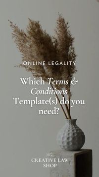 If you have a basic website that you don’t make sales on, you will just need The Website Terms & Conditions. If you sell products or courses, you’ll need the corresponding terms IN ADDITION to the standard terms.⁠