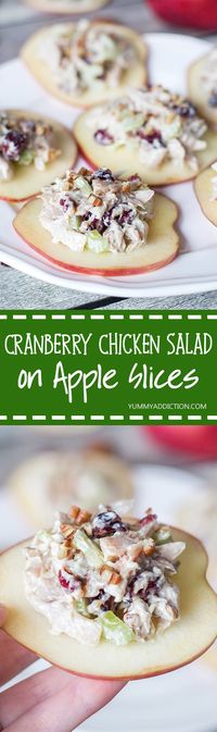 If you are looking for a perfect appetizer, this Cranberry Chicken Salad on crunchy and fresh apple slices is exactly what you need! | yummyaddiction.com