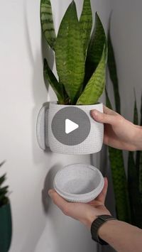 Brian Hendricks on Instagram: "A larger version of the Grid planter!
#plants #plantdecor #walldecor #3dprintdesign"