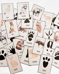 Free Animal Tracks Printable Cards | Nature Activity - Fox Farm Home