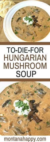 Rustic Hungarian Mushroom Soup - You will LOVE this soup. Look at the comments. #soup #mushroom #recipe