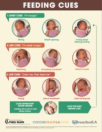 Feeding Cues. From BreastfeedLA. #breastfeeding