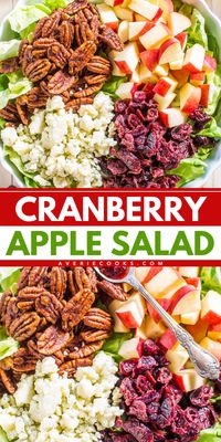 Your fall food ideas won't be complete without this Simple Apple Cranberry Salad! Coated in an apple cider dressing, this apple salad with dried cranberries is a side dish to impress. Plus, this Thanksgiving dinner recipe is healthy!